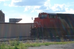 CN 8013